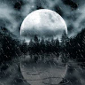 Meet your Posher, Bella